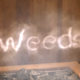 Illustration for article titled 10 episodes of Weeds that paved the way for TV’s era of high-speed storytelling